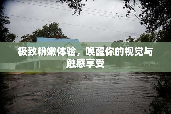 极致粉嫩体验，唤醒你的视觉与触感享受
