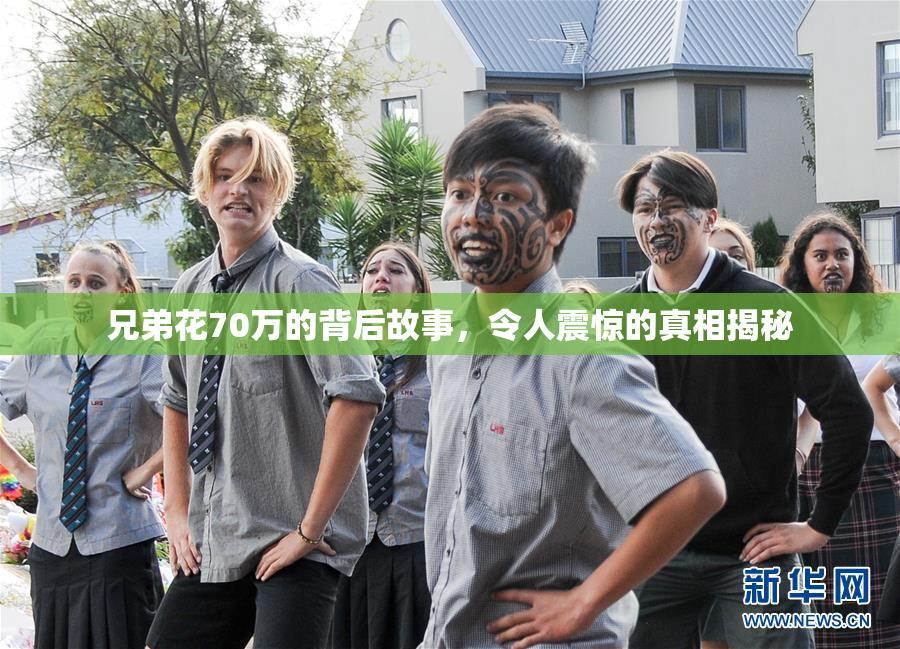 兄弟花70万的背后故事，令人震惊的真相揭秘