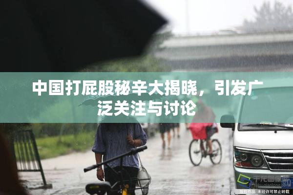 中国打屁股秘辛大揭晓，引发广泛关注与讨论
