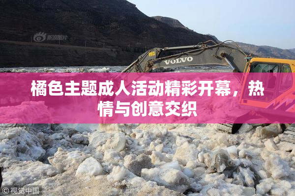 橘色主题成人活动精彩开幕，热情与创意交织