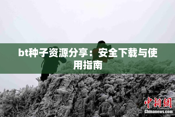 bt种子资源分享：安全下载与使用指南