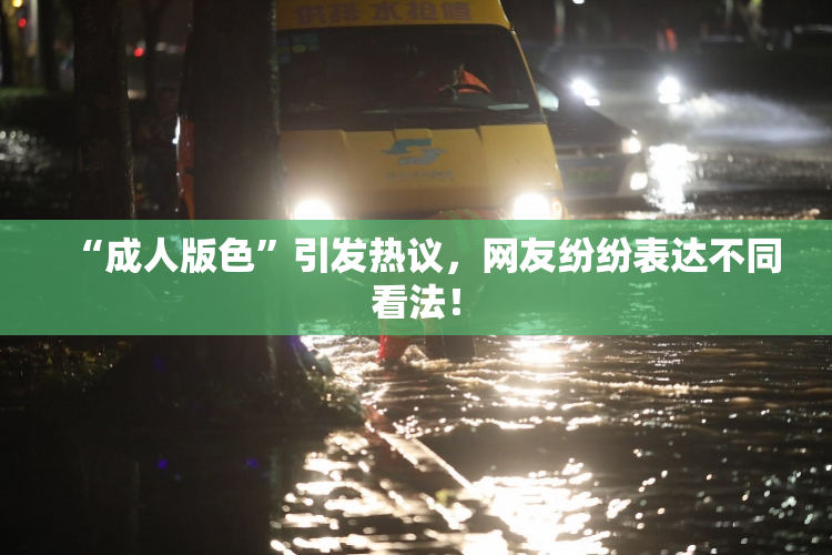 “成人版色”引发热议，网友纷纷表达不同看法！