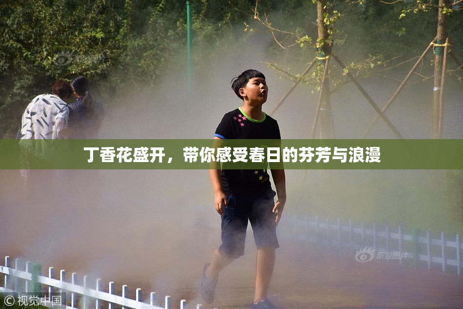 丁香花盛开，带你感受春日的芬芳与浪漫