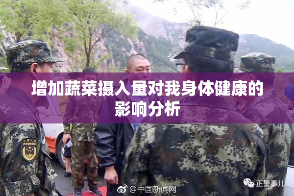 增加蔬菜摄入量对我身体健康的影响分析