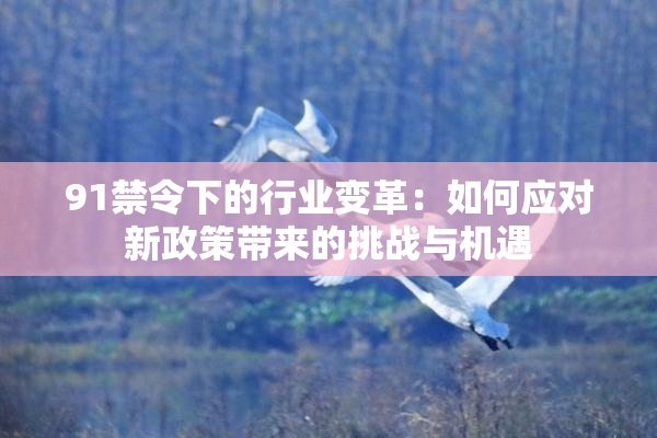 91禁令下的行业变革：如何应对新政策带来的挑战与机遇
