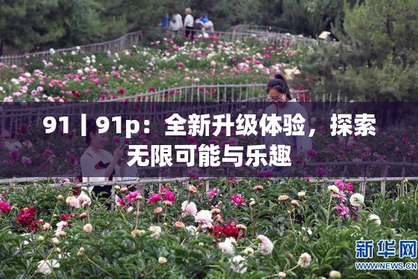 91丨91p：全新升级体验，探索无限可能与乐趣