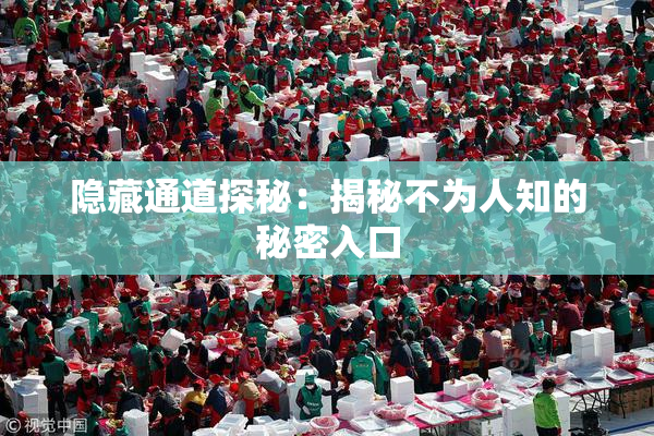隐藏通道探秘：揭秘不为人知的秘密入口