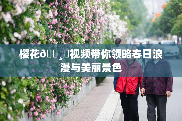 樱花🌸‌视频带你领略春日浪漫与美丽景色