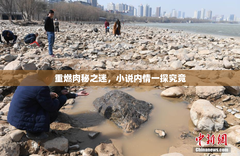 重燃肉秘之迷，小说内情一探究竟