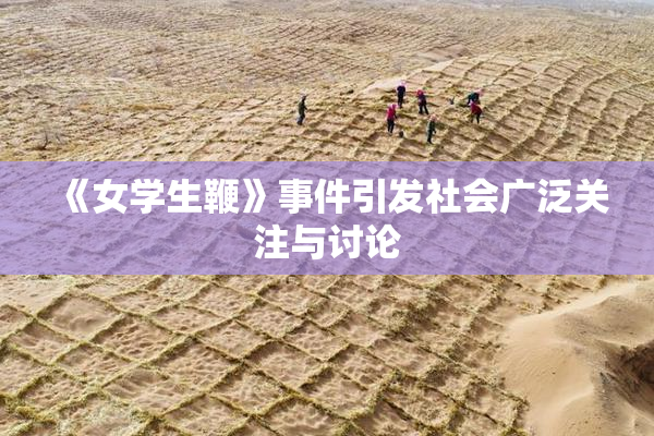 《女学生鞭》事件引发社会广泛关注与讨论