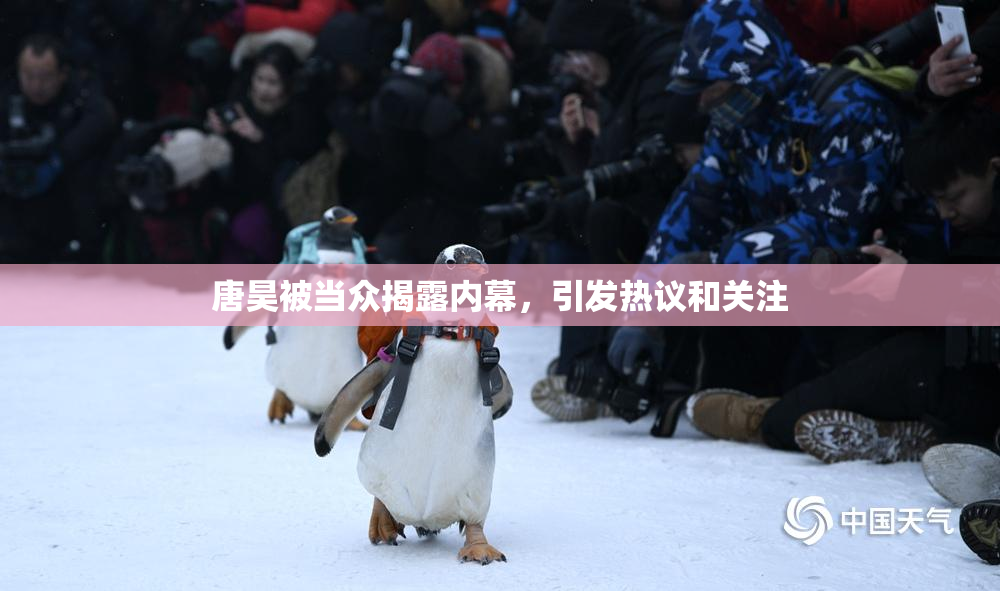 唐昊被当众揭露内幕，引发热议和关注