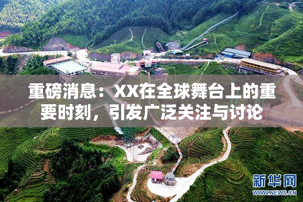 重磅消息：XX在全球舞台上的重要时刻，引发广泛关注与讨论