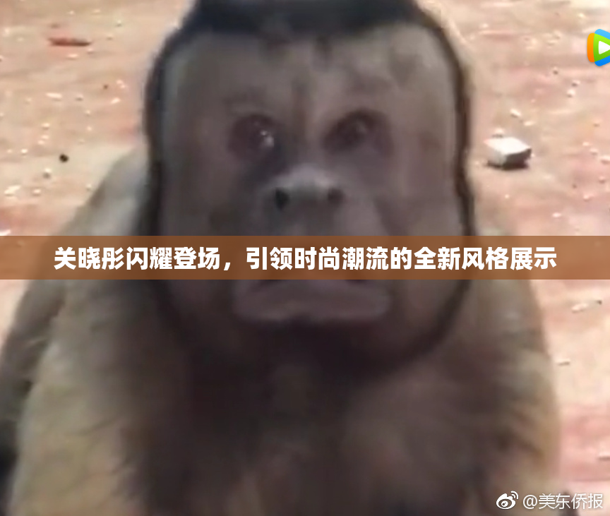 关晓彤闪耀登场，引领时尚潮流的全新风格展示