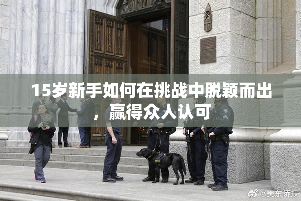 15岁新手如何在挑战中脱颖而出，赢得众人认可