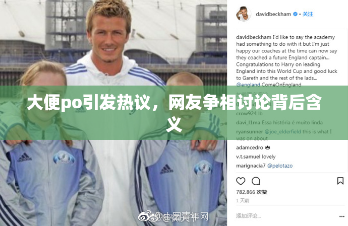 大便po引发热议，网友争相讨论背后含义