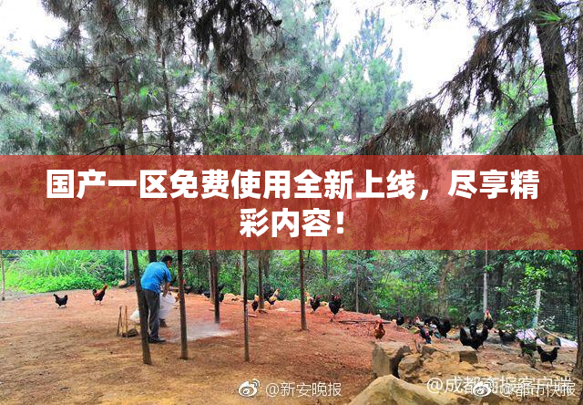 国产一区免费使用全新上线，尽享精彩内容！