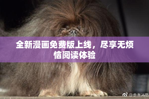 全新漫画免费版上线，尽享无烦恼阅读体验