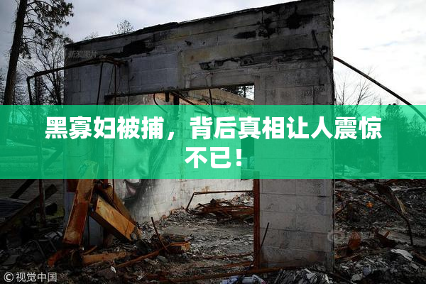 黑寡妇被捕，背后真相让人震惊不已！