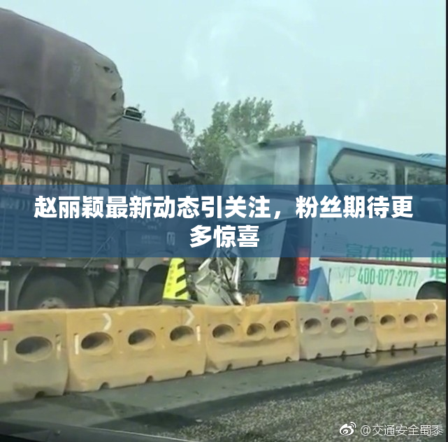 赵丽颖最新动态引关注，粉丝期待更多惊喜