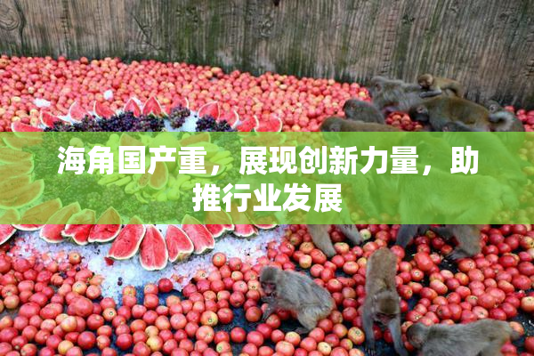 海角国产重，展现创新力量，助推行业发展