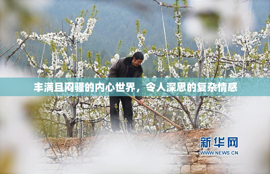 丰满且闷骚的内心世界，令人深思的复杂情感