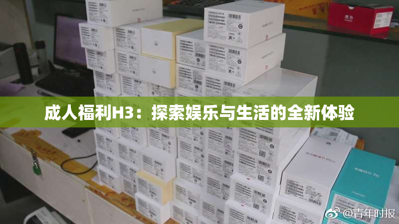 成人福利H3：探索娱乐与生活的全新体验