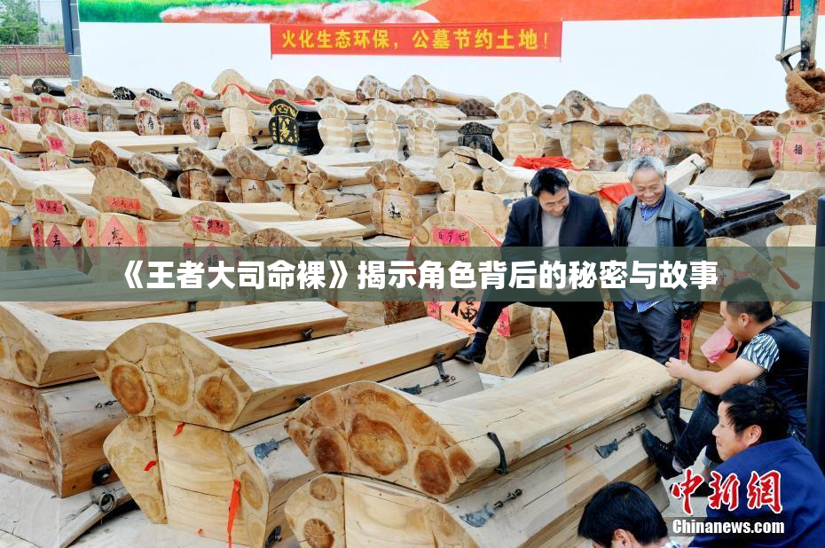 《王者大司命裸》揭示角色背后的秘密与故事