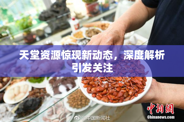 天堂资源惊现新动态，深度解析引发关注