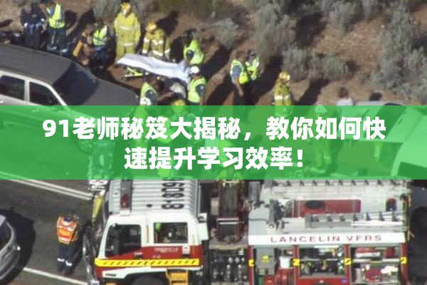 91老师秘笈大揭秘，教你如何快速提升学习效率！