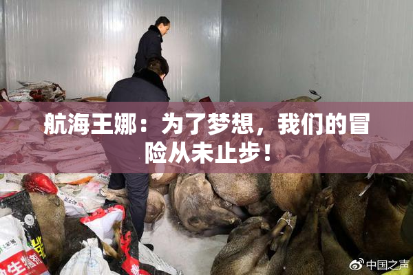 航海王娜：为了梦想，我们的冒险从未止步！