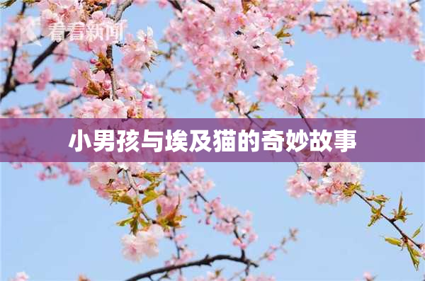 小男孩与埃及猫的奇妙故事