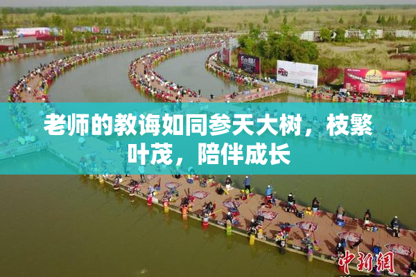 老师的教诲如同参天大树，枝繁叶茂，陪伴成长