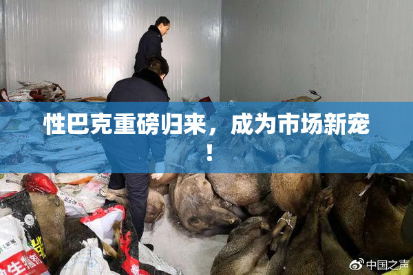 性巴克重磅归来，成为市场新宠！