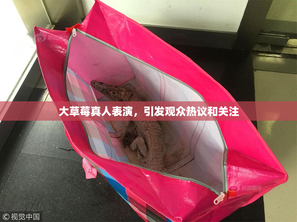 大草莓真人表演，引发观众热议和关注