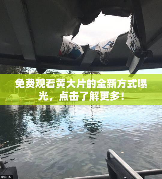 免费观看黄大片的全新方式曝光，点击了解更多！