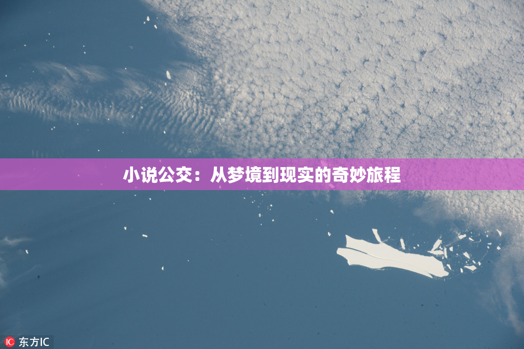 小说公交：从梦境到现实的奇妙旅程