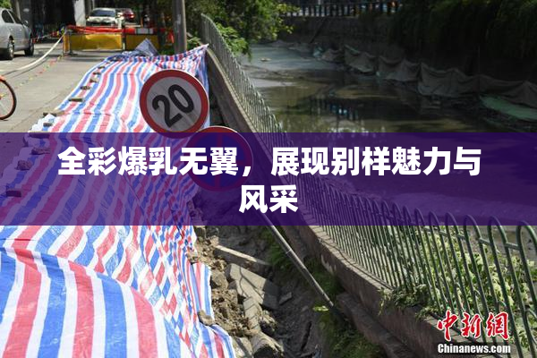 全彩爆乳无翼，展现别样魅力与风采
