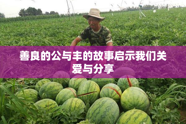 善良的公与丰的故事启示我们关爱与分享