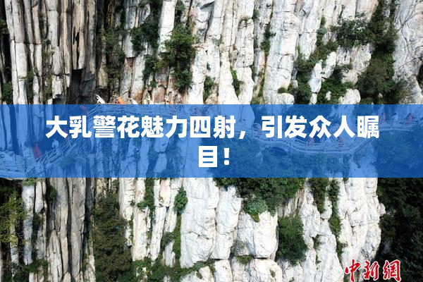 大乳警花魅力四射，引发众人瞩目！