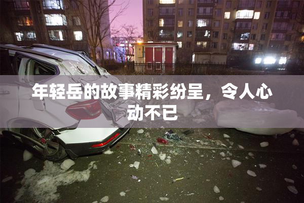 年轻岳的故事精彩纷呈，令人心动不已