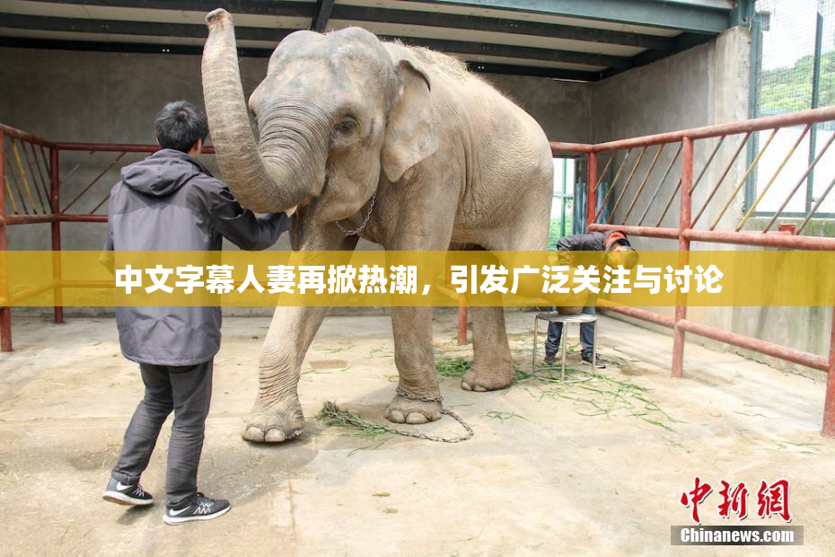 中文字幕人妻再掀热潮，引发广泛关注与讨论