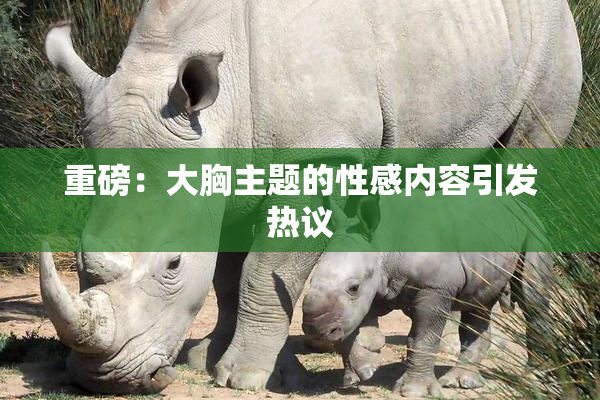 重磅：大胸主题的性感内容引发热议
