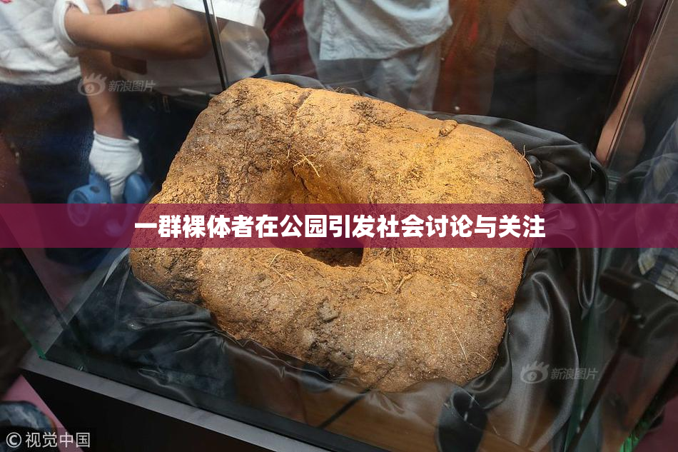 一群裸体者在公园引发社会讨论与关注