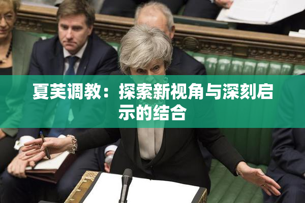 夏芙调教：探索新视角与深刻启示的结合