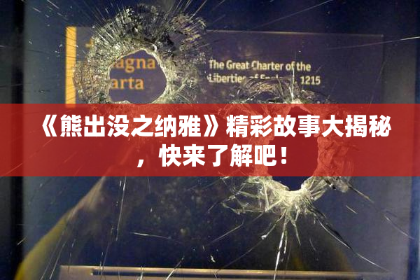 《熊出没之纳雅》精彩故事大揭秘，快来了解吧！