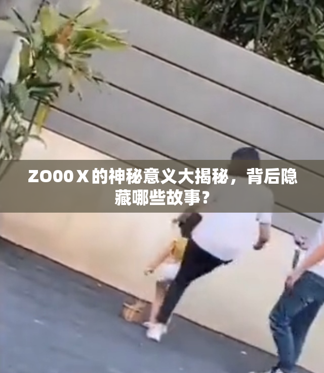 ZO00Ⅹ的神秘意义大揭秘，背后隐藏哪些故事？