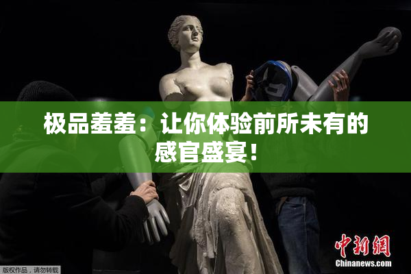 极品羞羞：让你体验前所未有的感官盛宴！