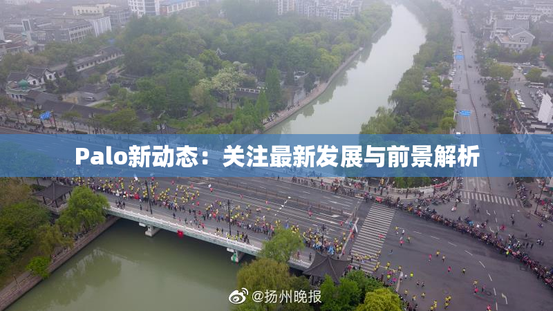 Palo新动态：关注最新发展与前景解析