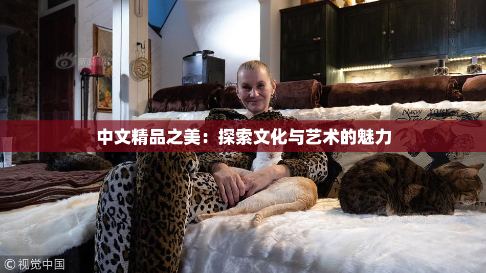 中文精品之美：探索文化与艺术的魅力