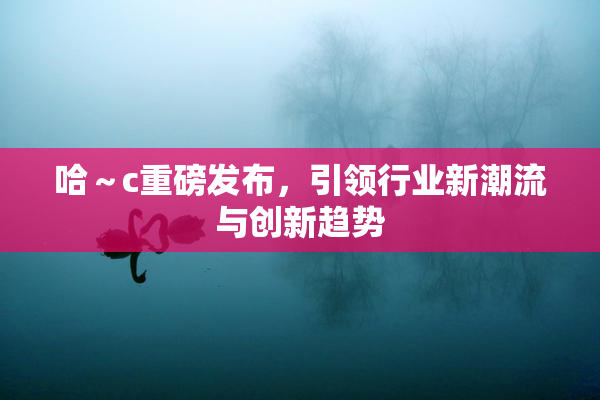 哈～c重磅发布，引领行业新潮流与创新趋势